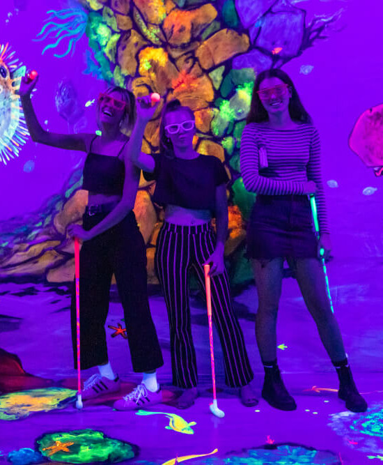 About Mini Golf 3D Perth